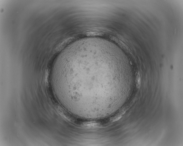 X0000087630219200705311337