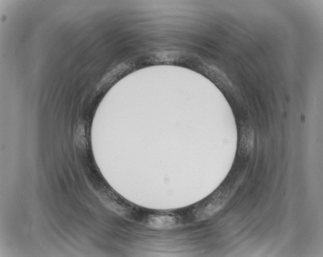 X0000087630220200705311337