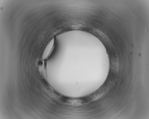 X0000087630221200705311337