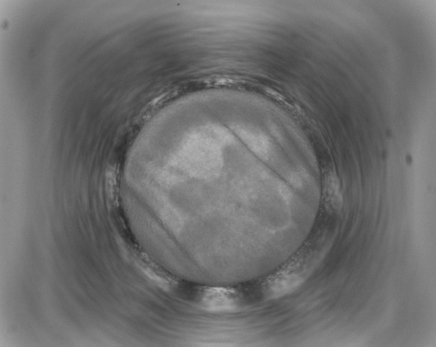 X0000087630222200705311336