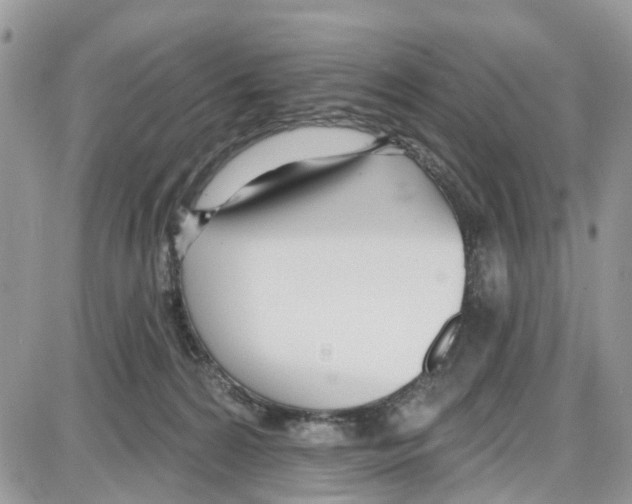 X0000087630224200705311336