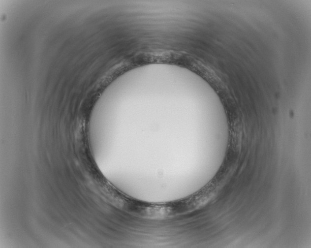 X0000087630225200705311336