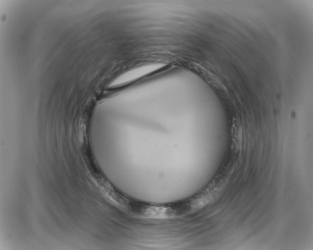 X0000087630227200705311336