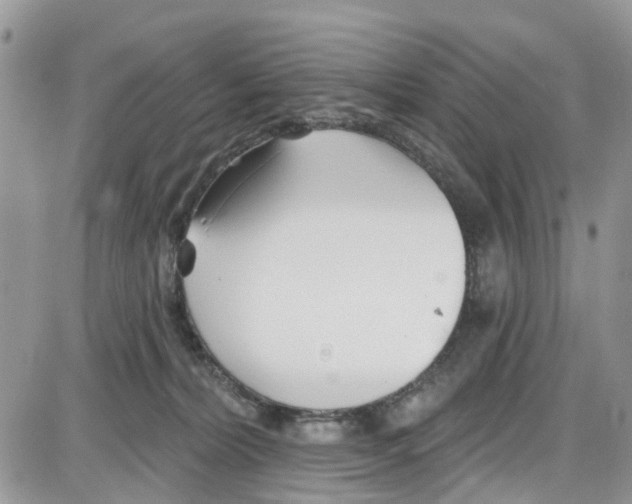 X0000087630228200705311336