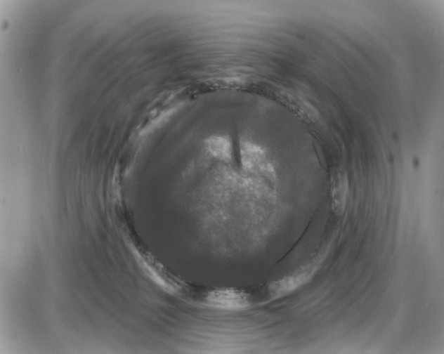 X0000087630231200705311336