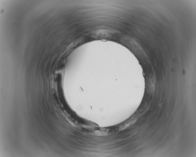 X0000087630232200705311336