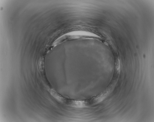 X0000087630233200705311336