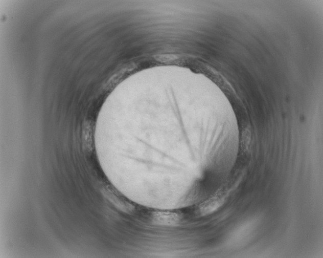 X0000087630234200705311336