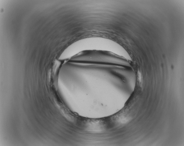 X0000087630235200705311336