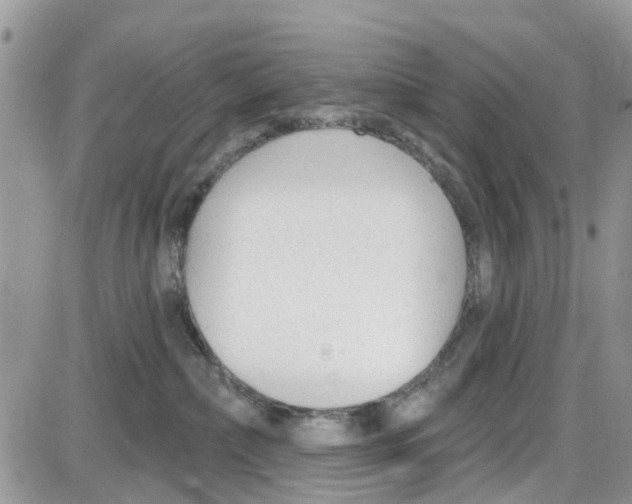 X0000087630236200705311336