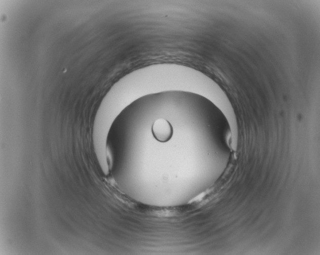 X0000087630237200705311336