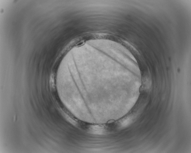 X0000087630238200705311336