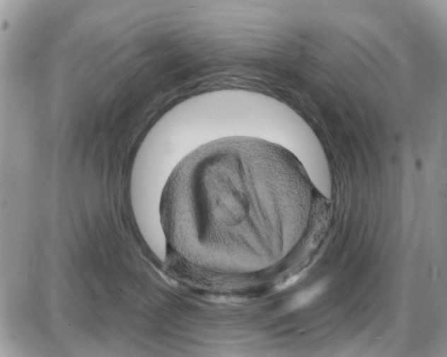 X0000087630239200705311336