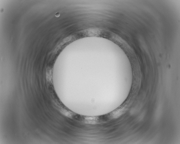 X0000087630240200705311336