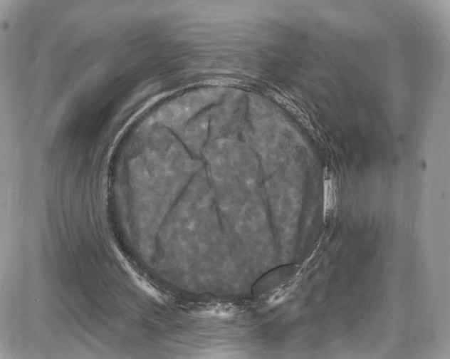 X0000087630243200705311335