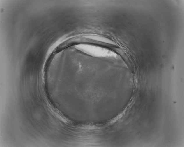 X0000087630246200705311336