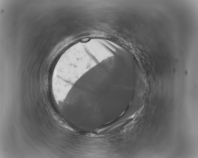 X0000087630247200705311336