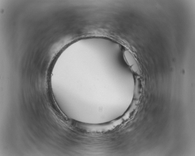 X0000087630248200705311336