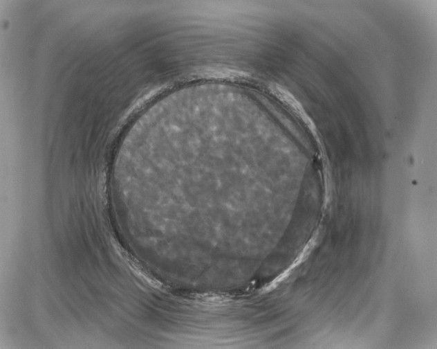 X0000087630249200705311336