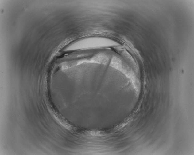 X0000087630250200705311336