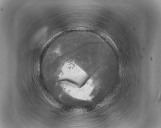 X0000087630251200705311336