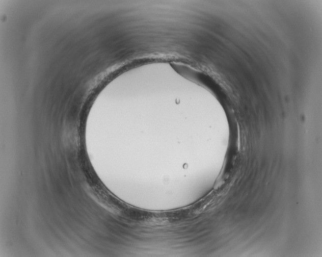 X0000087630252200705311336