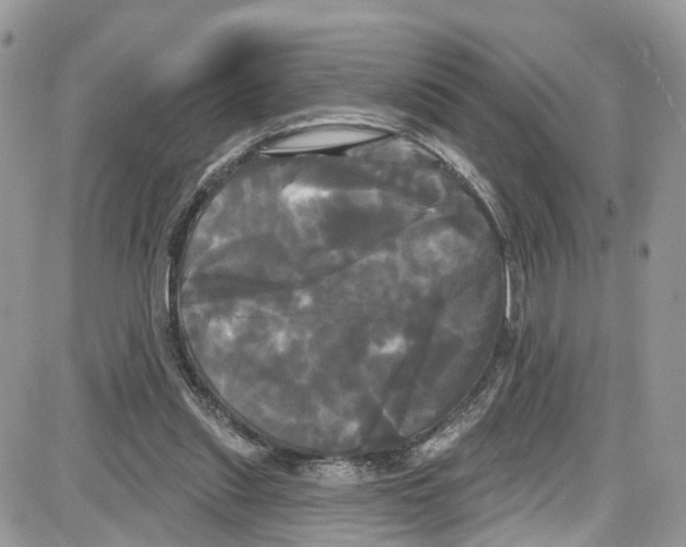 X0000087630253200705311336