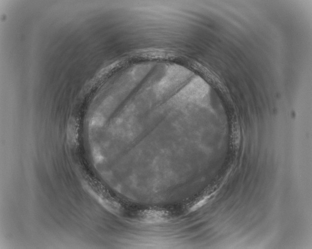 X0000087630255200705311336