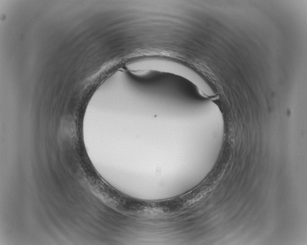 X0000087630256200705311336