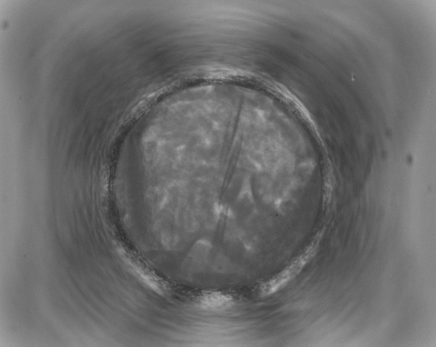 X0000087630257200705311336