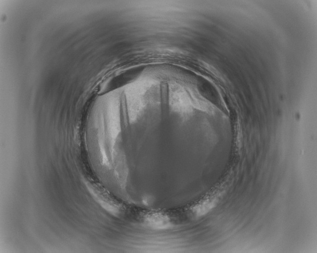 X0000087630258200705311336