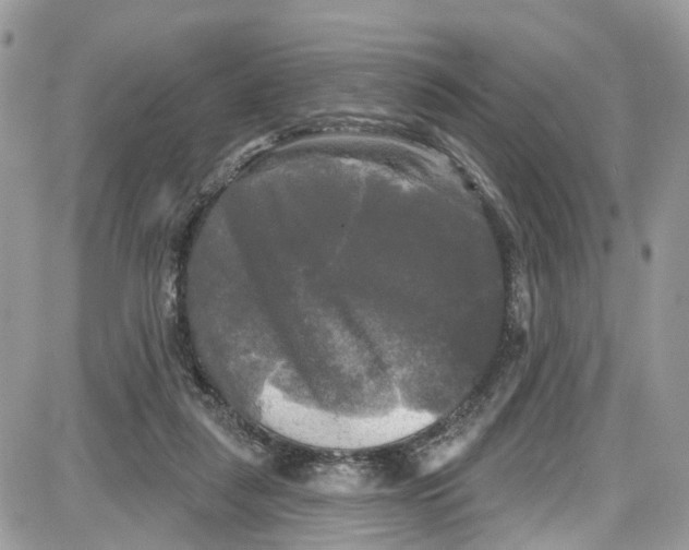 X0000087630259200705311336