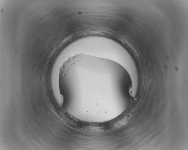 X0000087630260200705311336