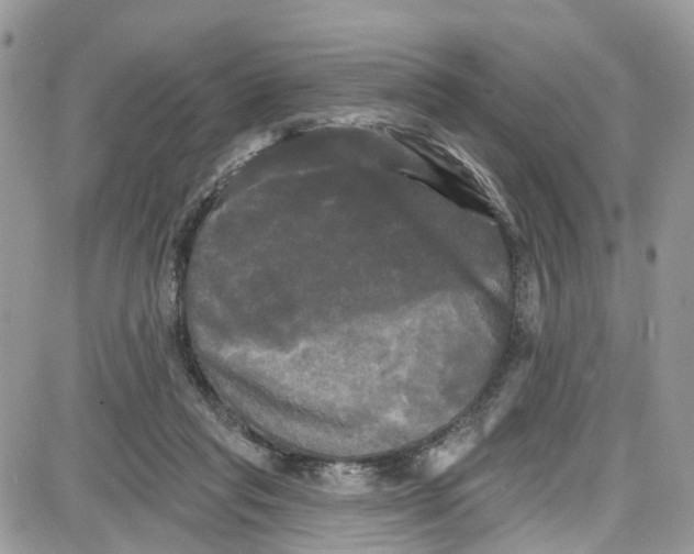 X0000087630261200705311336