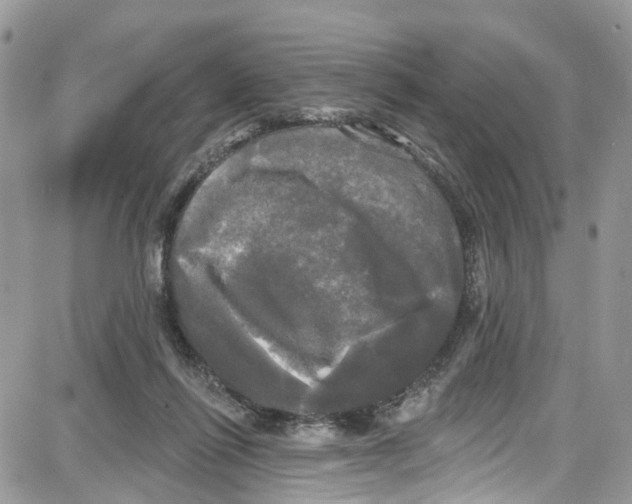 X0000087630262200705311336