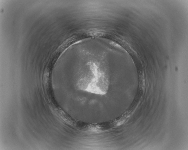 X0000087630263200705311336