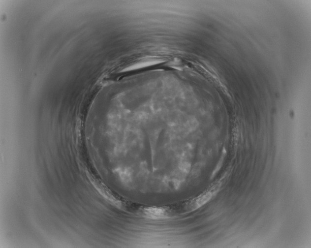 X0000087630265200705311336