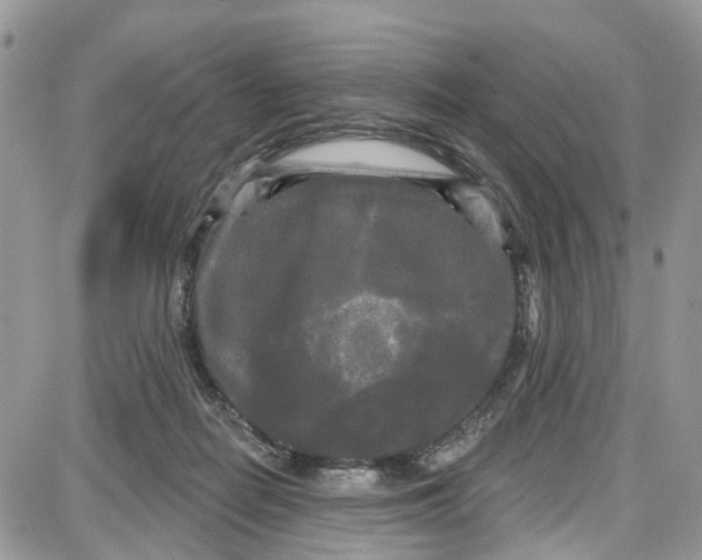 X0000087630266200705311336