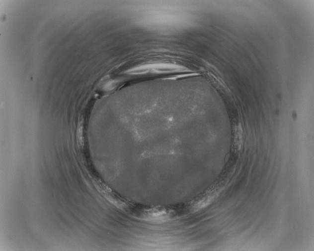 X0000087630267200705311336