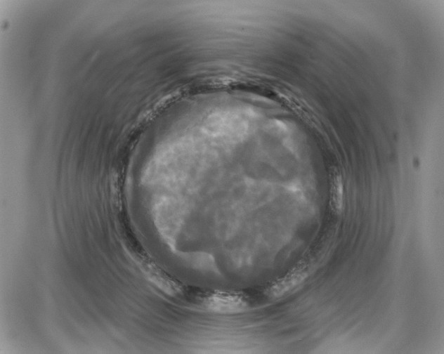 X0000087630270200705311336