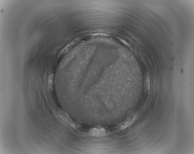 X0000087630271200705311336