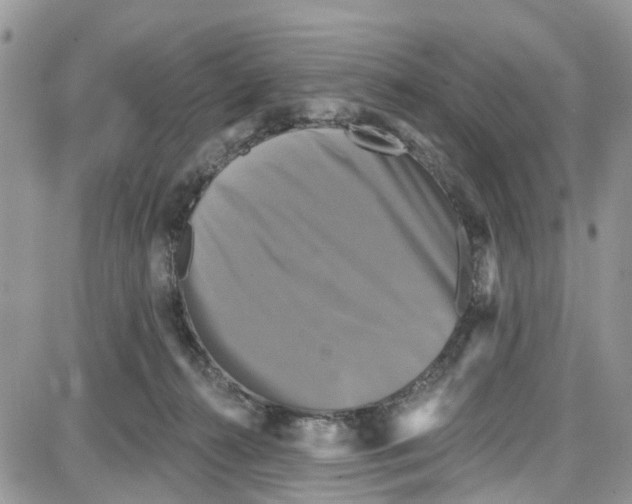 X0000087630272200705311336