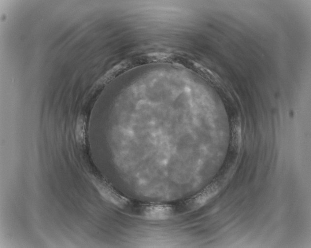 X0000087630274200705311336