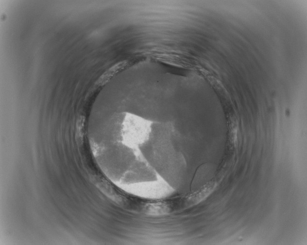 X0000087630275200705311336