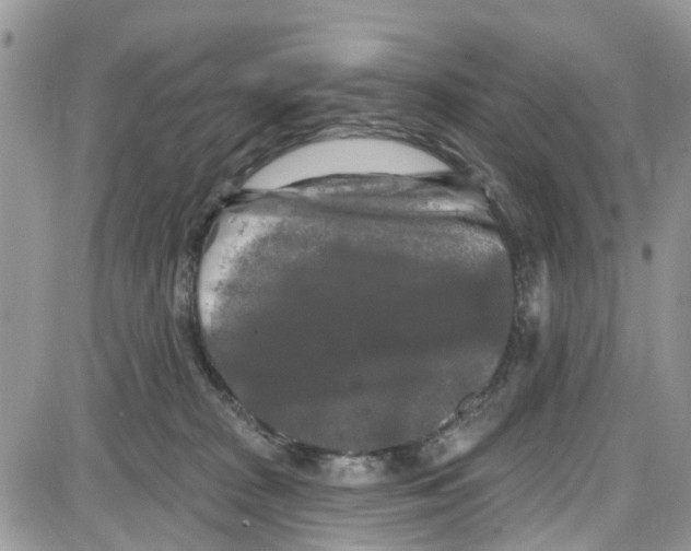 X0000087630277200705311336