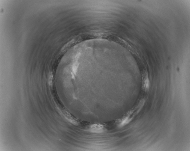 X0000087630279200705311336