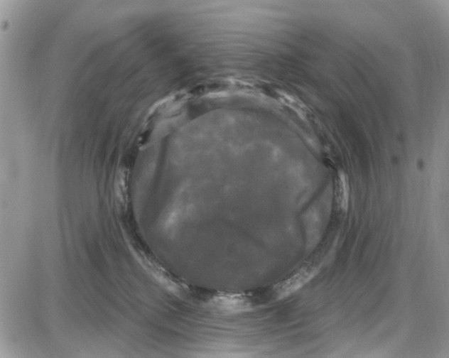 X0000087630280200705311336