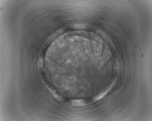 X0000087630281200705311336