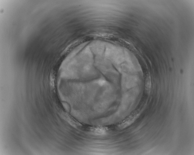 X0000087630282200705311336