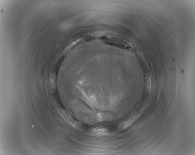 X0000087630283200705311336